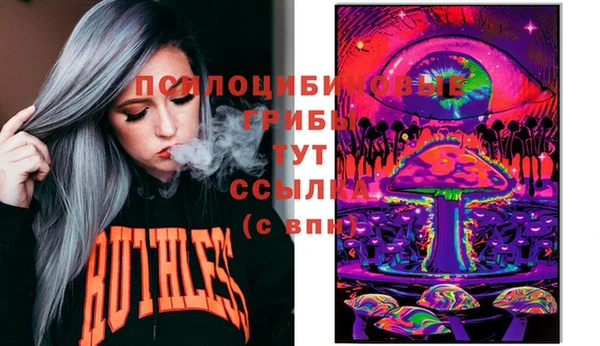 гашик Волосово