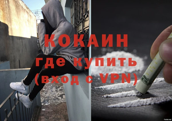 твердый Володарск