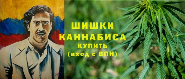 твердый Володарск