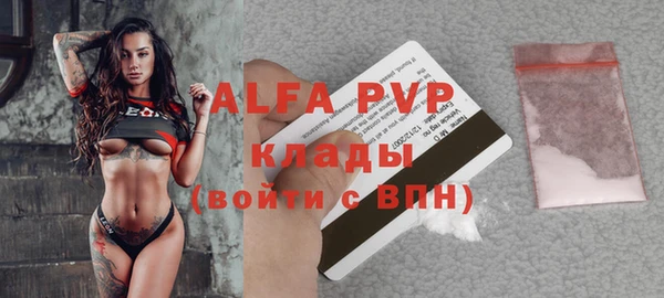 крисы Верхний Тагил