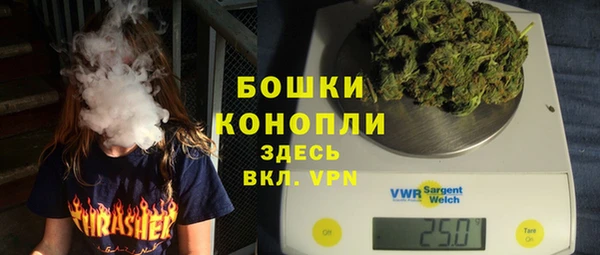 крисы Верхний Тагил